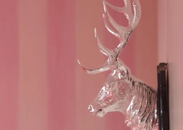 Hotel & Restaurant Sonne Kirchzarten